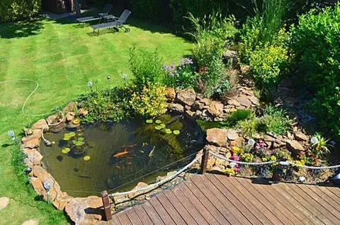 Keeping Sussex Garden Ponds Clear, Healthy, and Beautiful