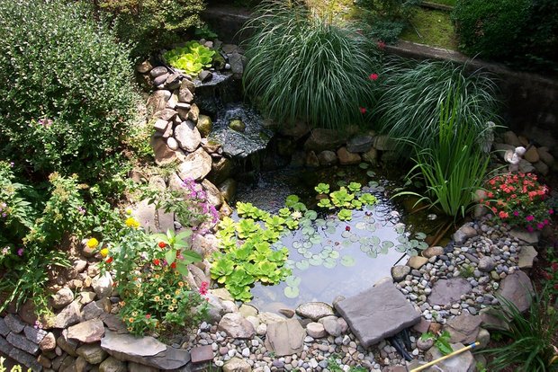 Keeping Garden Ponds in Kent Clear, Healthy, and Thriving